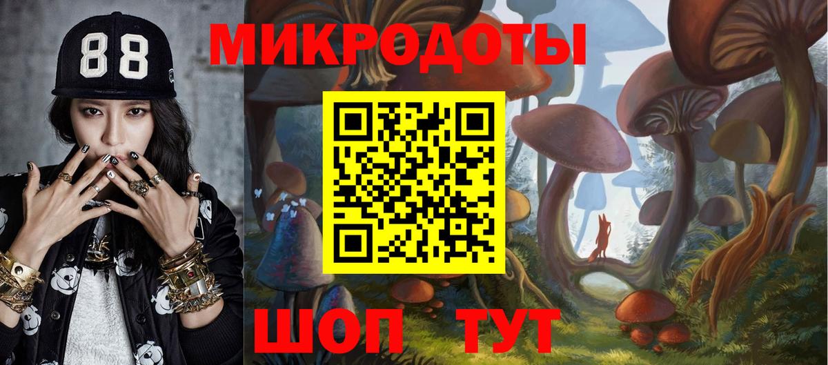 Соль-Илецк  Галлюциногенные грибы MAGIC MUSHROOMS  Псилоцибиновые грибы ЛСД  как найти   Вход с VPN 