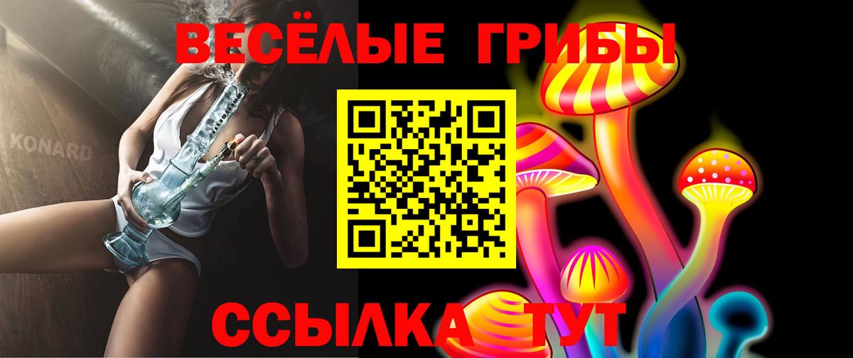 Галлюциногенные грибы Psilocybe Соль-Илецк